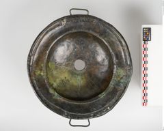 Foto von Bronzebreitrandfußschale (NHMW-PRAE-025182)